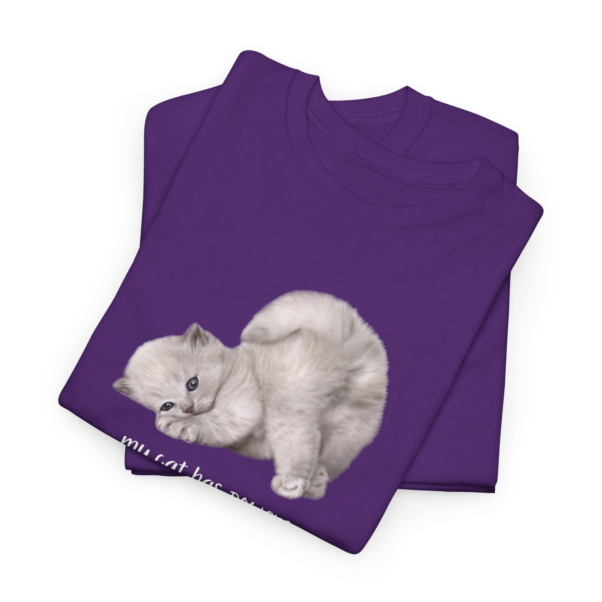 Cat T-Shirt – "My Cat Has Powers" Cute Stretching Cat Graphic Tee