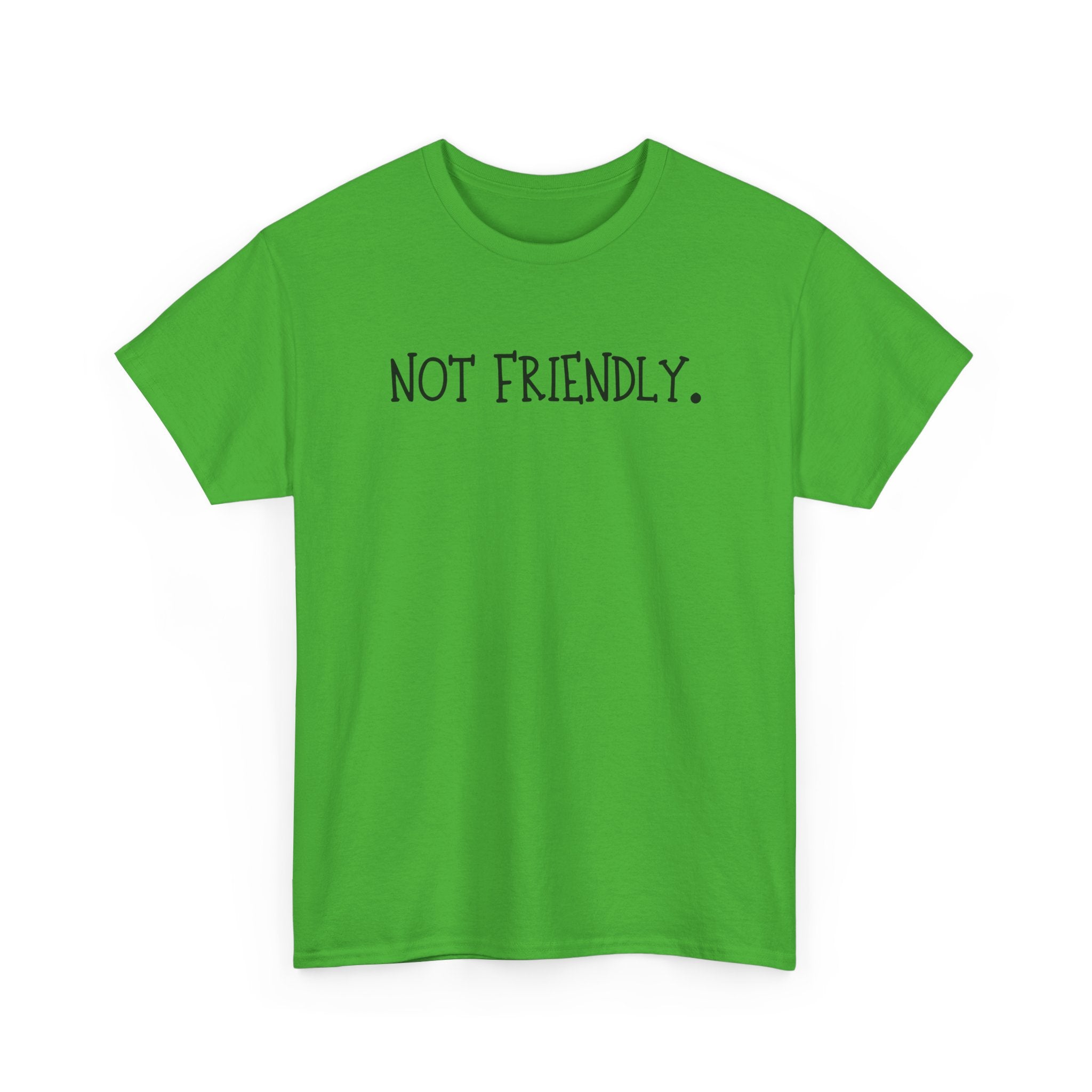 T-Shirt — "Not Friendly." Minimalist Statement Tee