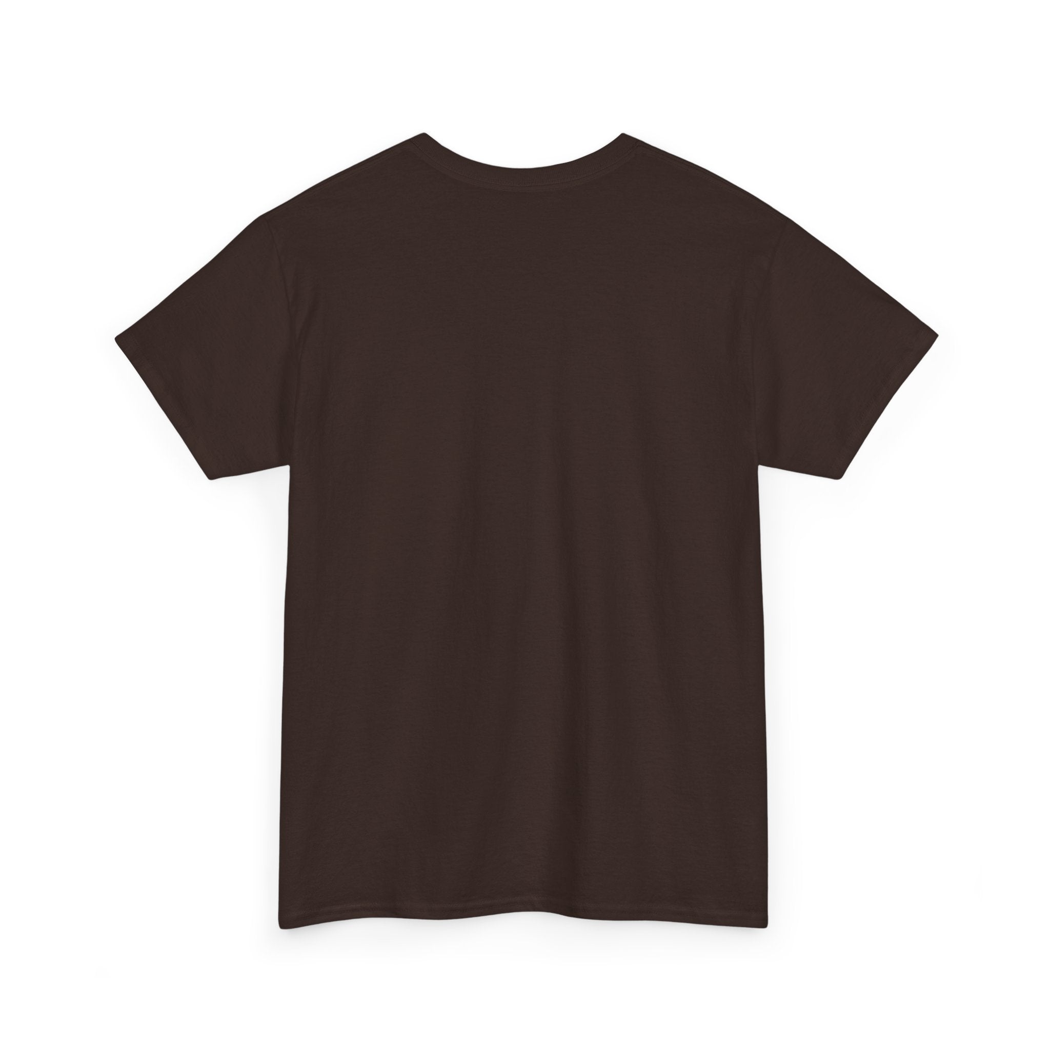 I Got It Baseball Duck T‑Shirt — Funny Catcher Graphic Tee