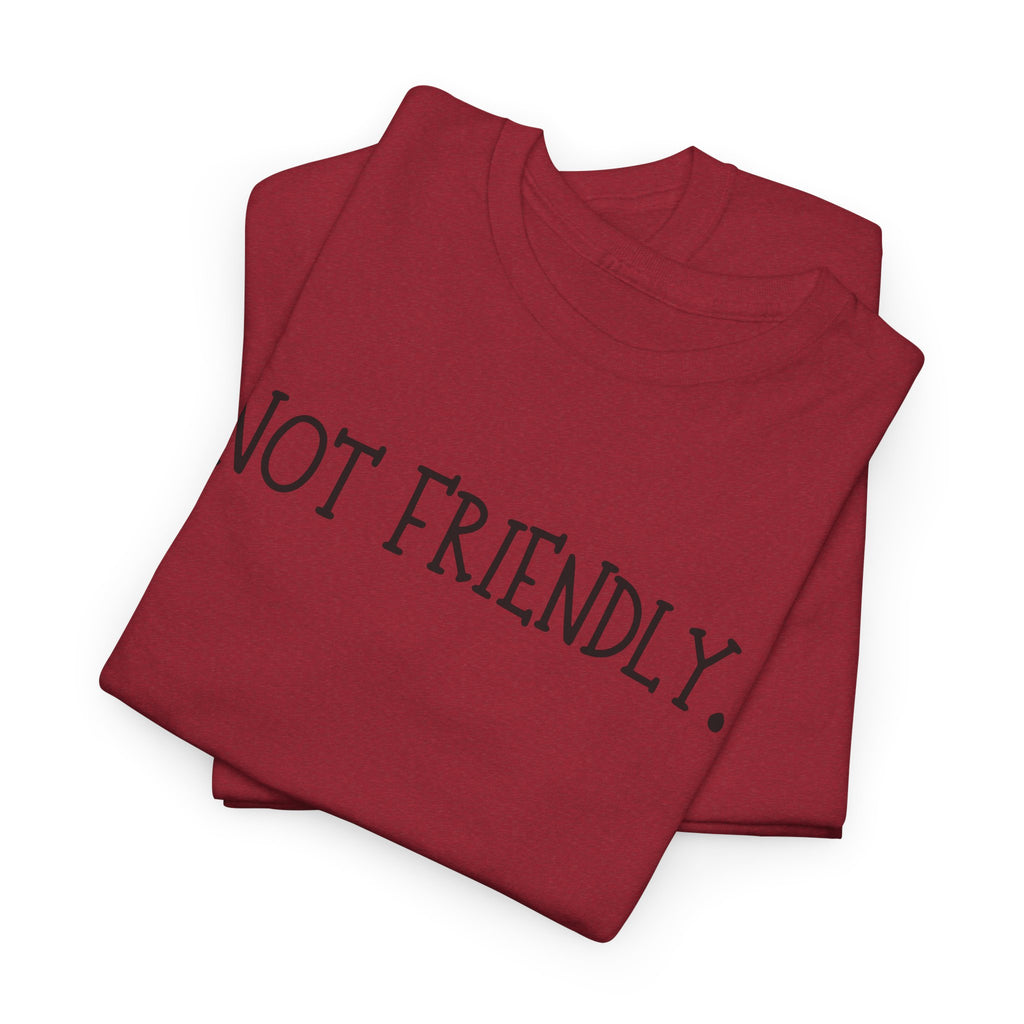 T-Shirt — "Not Friendly." Minimalist Statement Tee