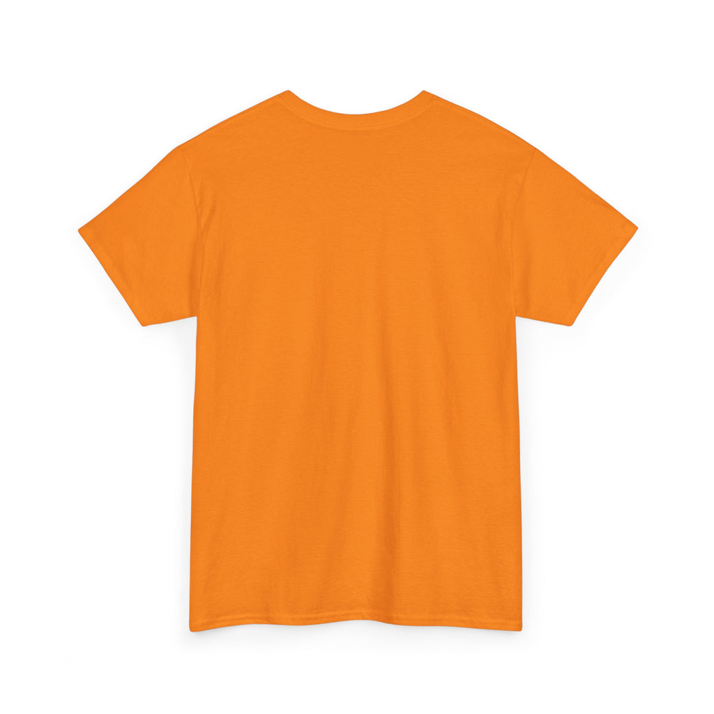 Cat Birthday Tee — "A Purr-fect Firecracker Was Born Today"