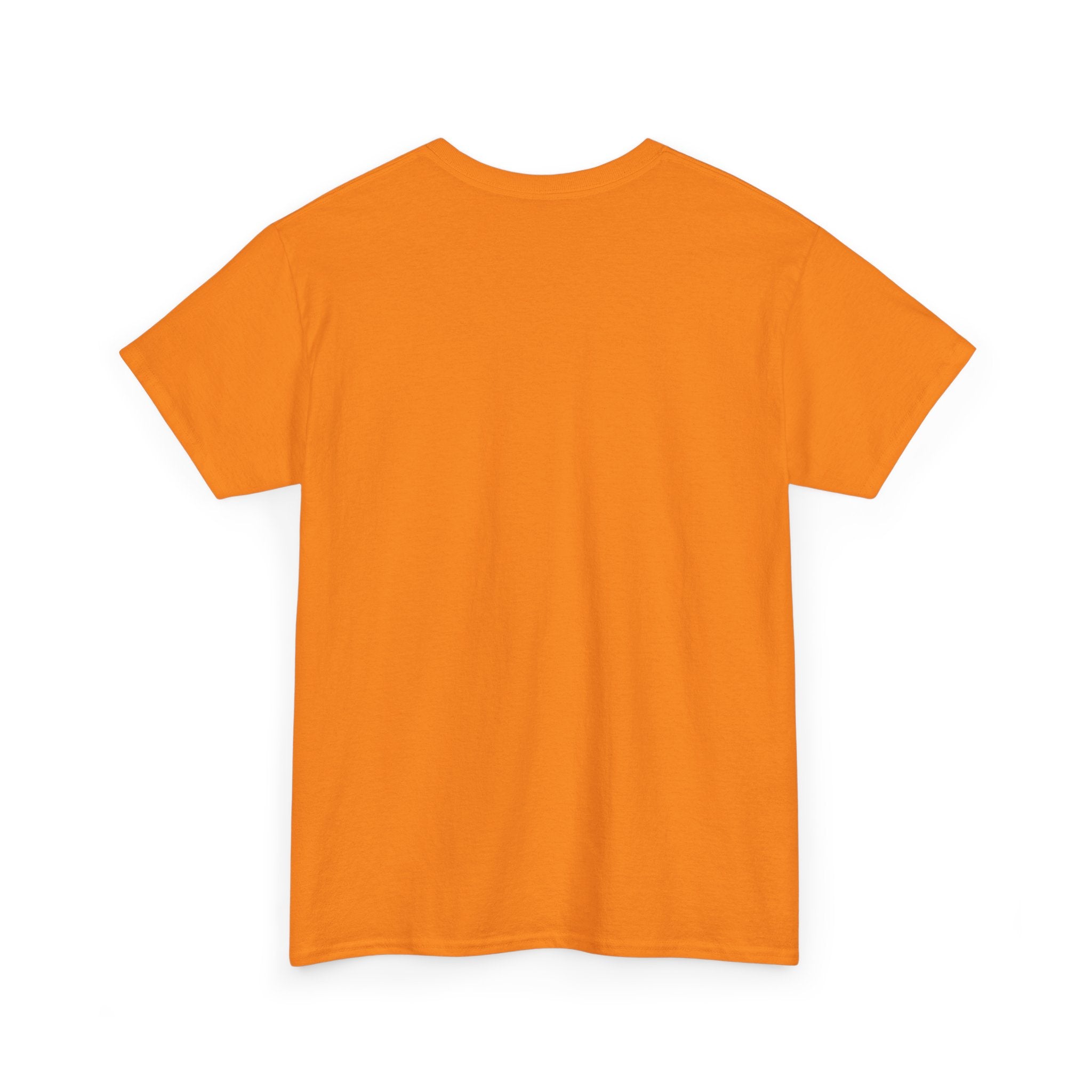 Cat Birthday Tee — "A Purr-fect Firecracker Was Born Today"